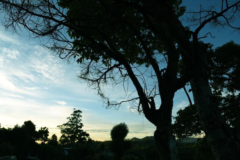 General view