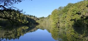 Haslemere thumbnail