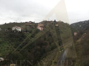 thumbnail: Mountain view