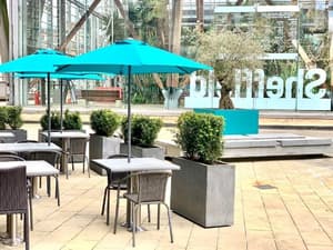 thumbnail: Terrace/patio