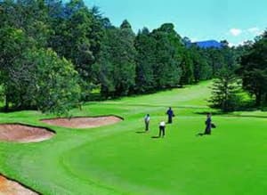 thumbnail: Golf