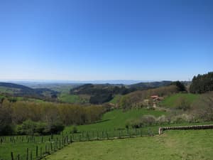 thumbnail: View from property