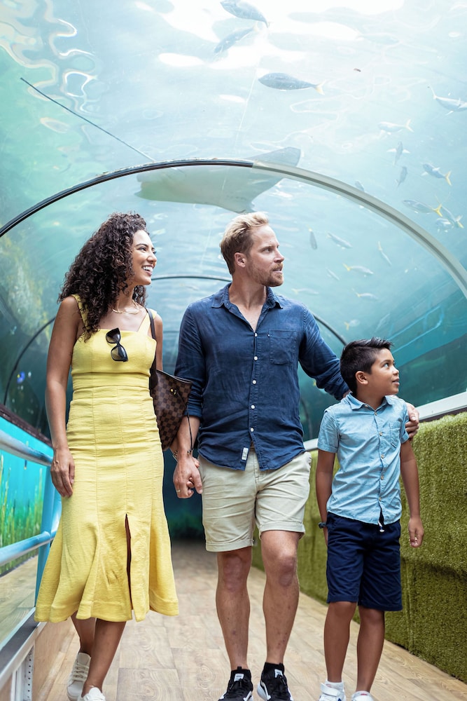 Land view from property