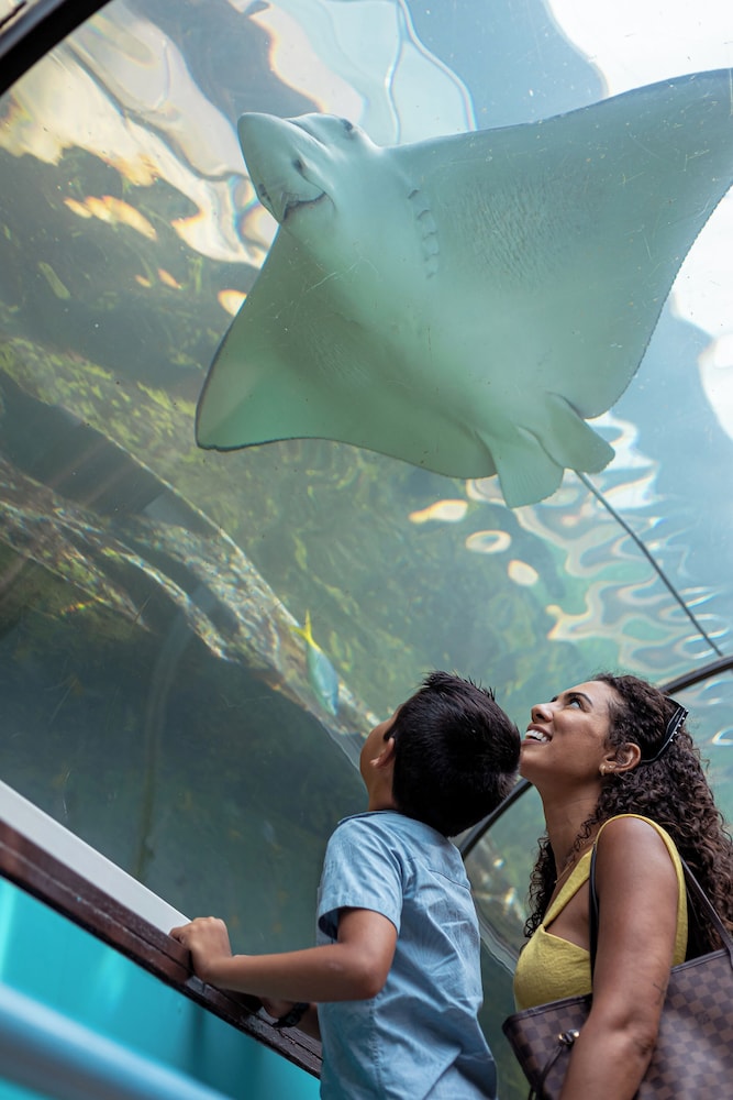 Land view from property