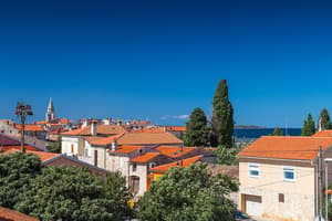 thumbnail: City view from property