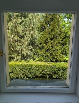 thumbnail: View from room