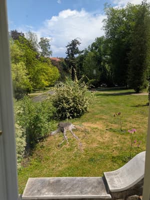 thumbnail: View from room