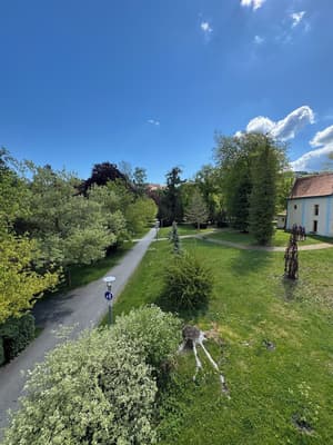 thumbnail: View from room