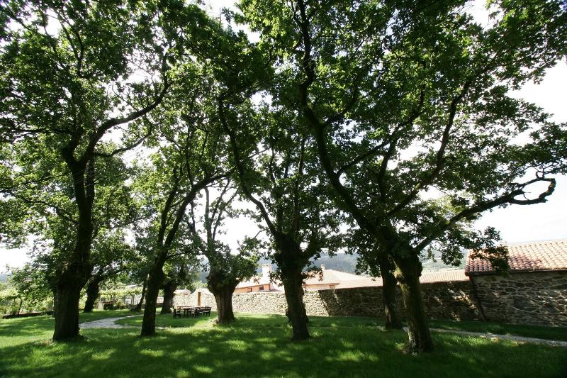 General view