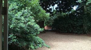 thumbnail: Garden
