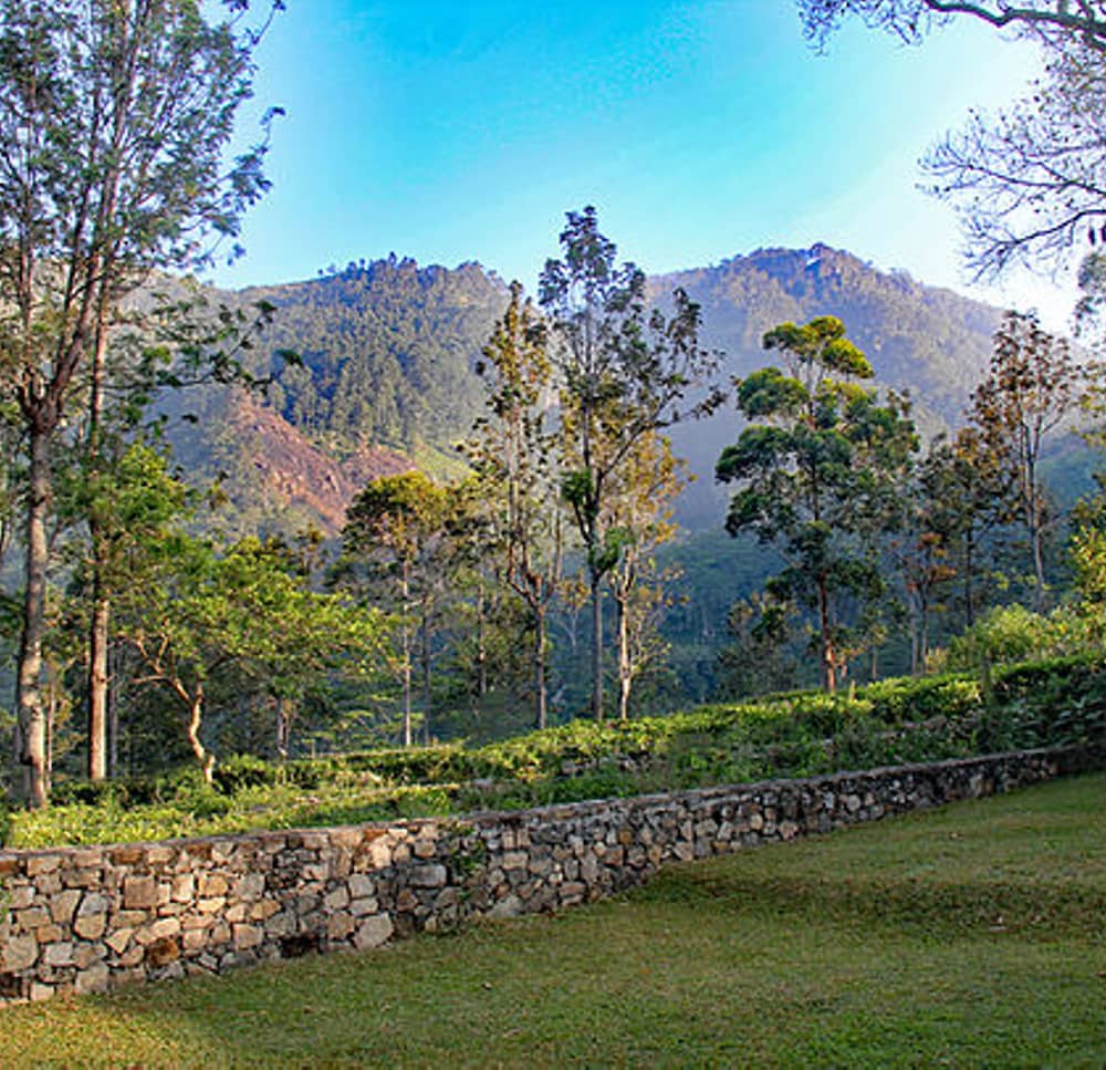 Mountain view
