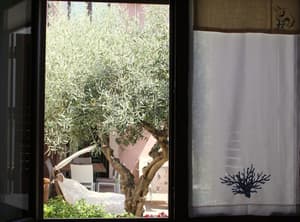 thumbnail: View from room