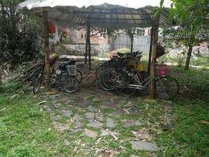 thumbnail: Bicycling