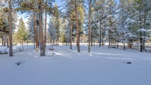 thumbnail: Miscellaneous
