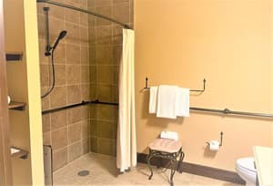 thumbnail: Accessible bathroom