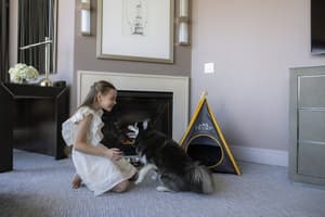 thumbnail: Pet-friendly amenities