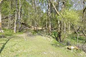 thumbnail: Property grounds