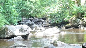 thumbnail: Property grounds