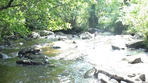 thumbnail: Property grounds