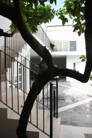 thumbnail: Property grounds