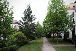 thumbnail: View from property