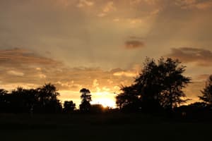 thumbnail: View from property