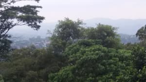 thumbnail: View from property