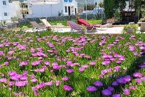 thumbnail: Garden