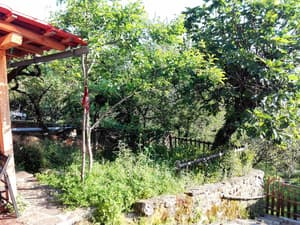 thumbnail: Garden