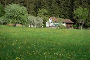 thumbnail: Front of property