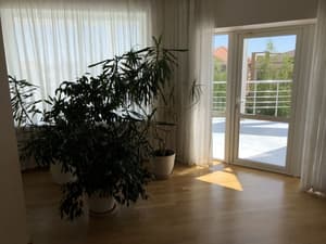 thumbnail: Interior