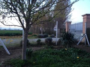 thumbnail: Property grounds