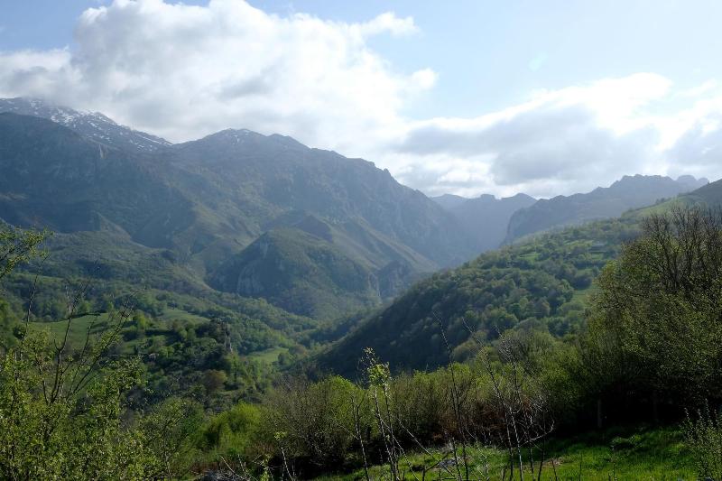 General view