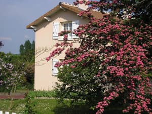 thumbnail: General view