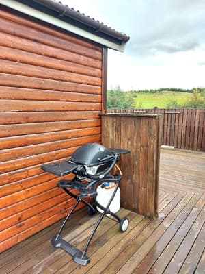 thumbnail: BBQ/picnic area