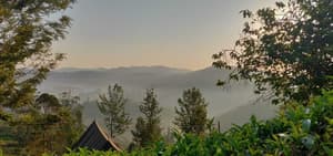Ooty thumbnail