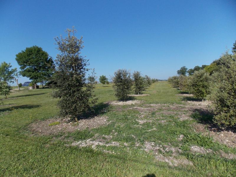 General view