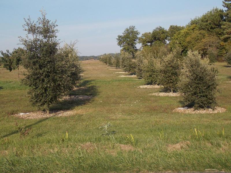 General view