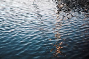 thumbnail: Boating