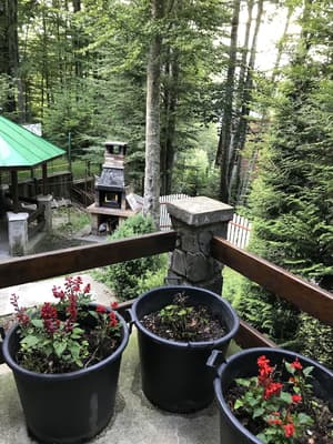 thumbnail: Terrace/patio