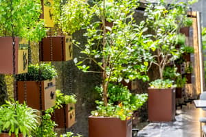 thumbnail: Garden