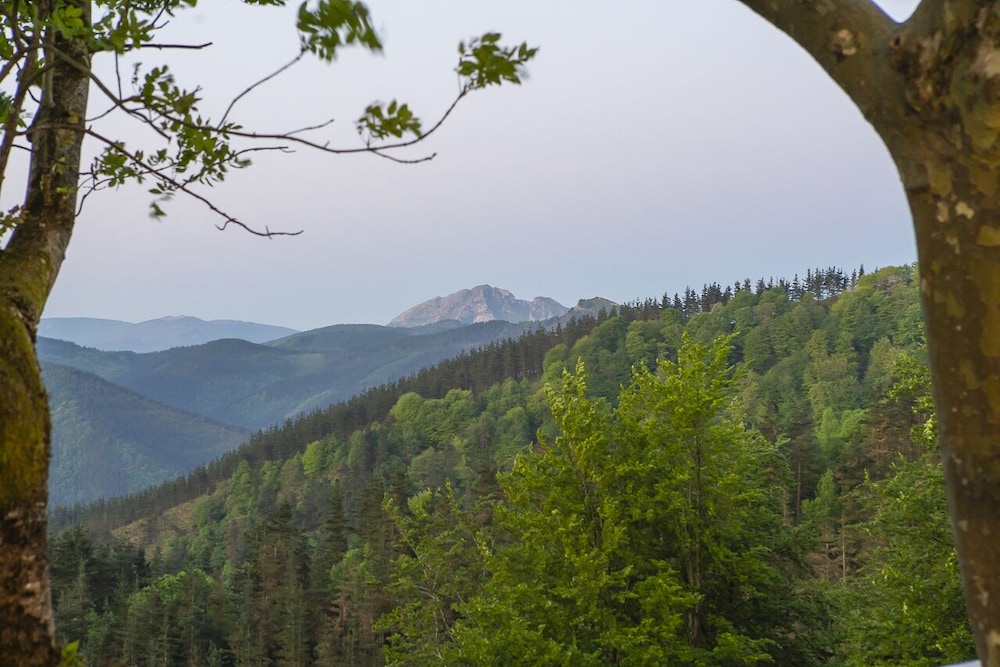Mountain view