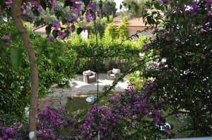 thumbnail: Garden