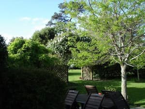 thumbnail: 20563361.jpg