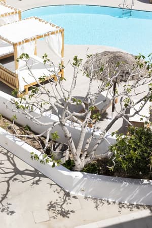 thumbnail: Exterior