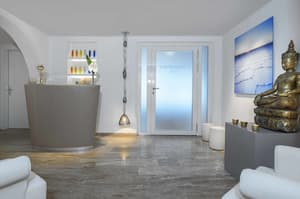 thumbnail: Spa reception