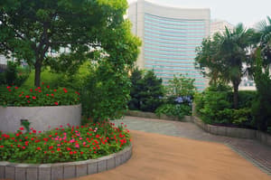 thumbnail: Courtyard