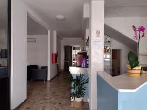 thumbnail: Reception