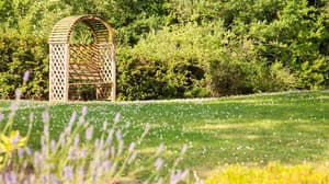 thumbnail: Garden