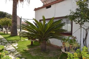 thumbnail: Garden